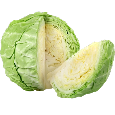 Cabbage