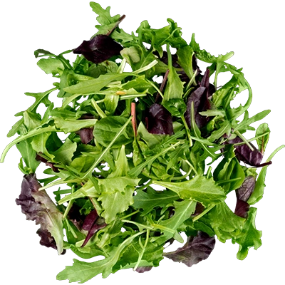 Salad Greens
